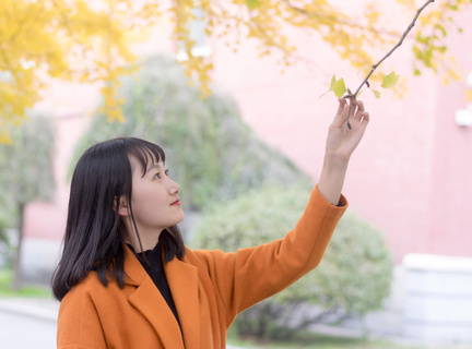 菲律宾安吉利斯旅游景区(旅游最新通知)